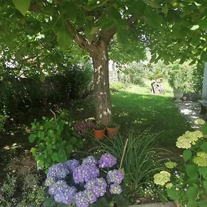  Apartman Vellico
